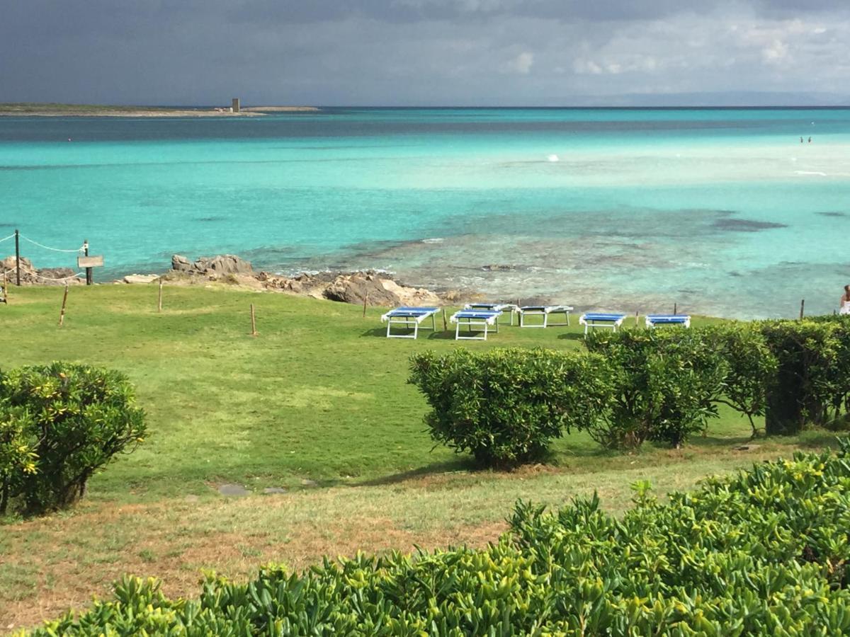 Villa Carrabean Sea In The North Of Sardegna, With Swimming Pool Viddalba Esterno foto