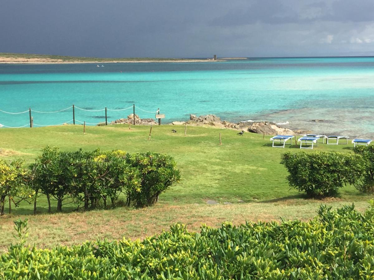 Villa Carrabean Sea In The North Of Sardegna, With Swimming Pool Viddalba Esterno foto