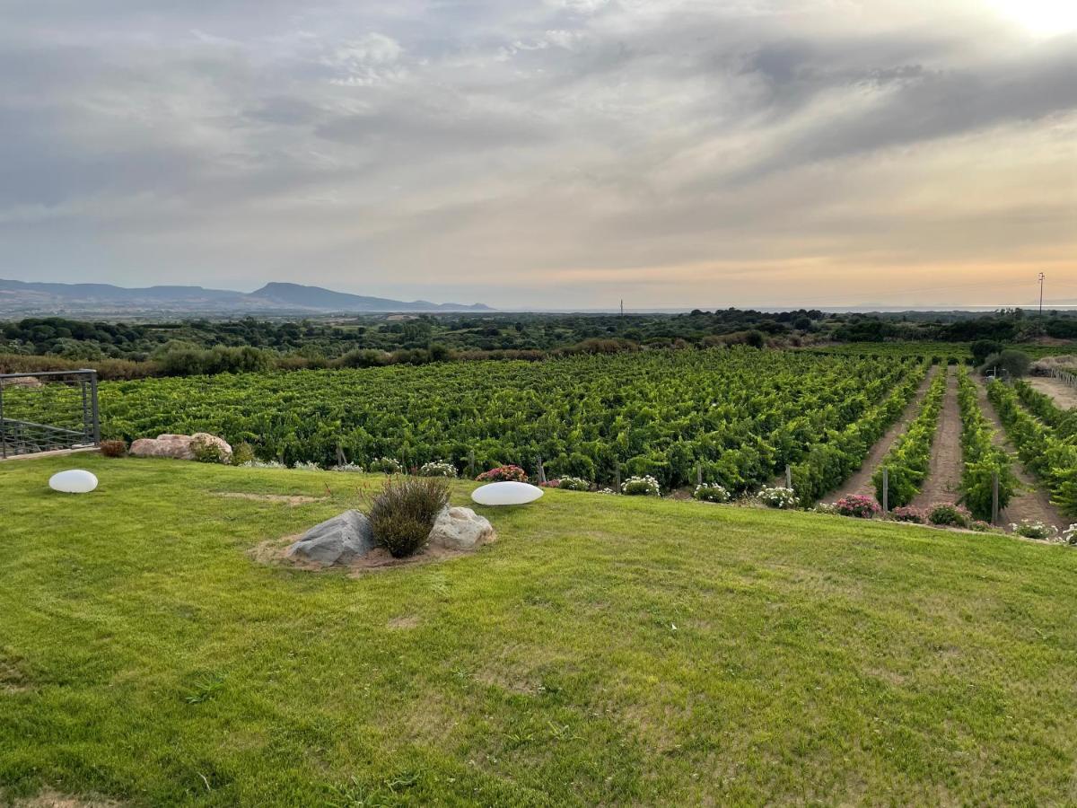 Villa Carrabean Sea In The North Of Sardegna, With Swimming Pool Viddalba Esterno foto