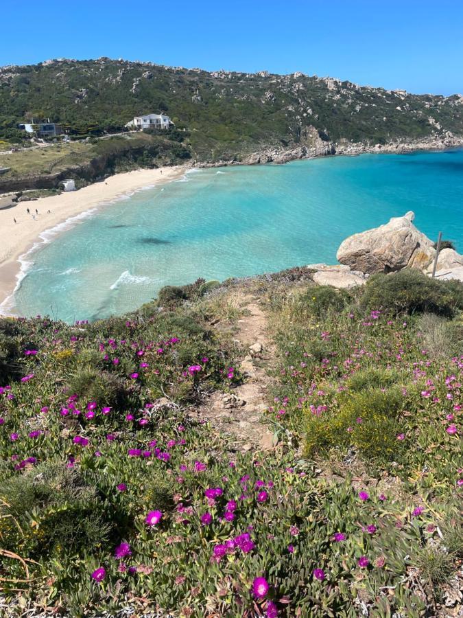Villa Carrabean Sea In The North Of Sardegna, With Swimming Pool Viddalba Esterno foto