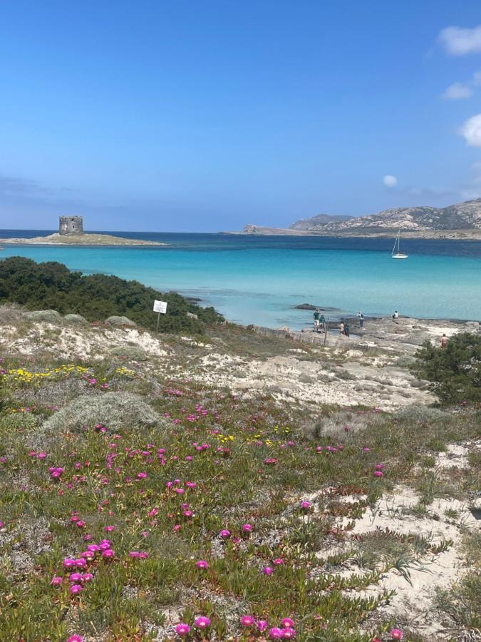 Villa Carrabean Sea In The North Of Sardegna, With Swimming Pool Viddalba Esterno foto